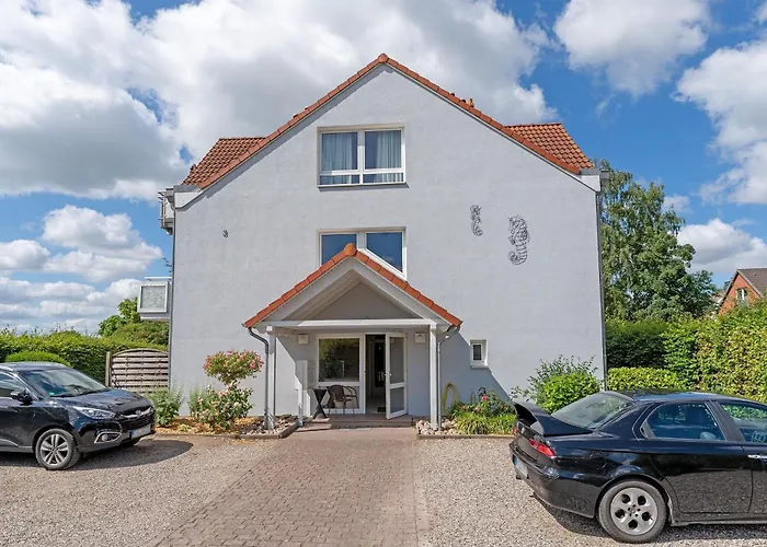 Seepferdchen Urlaubstied 希尔克道夫